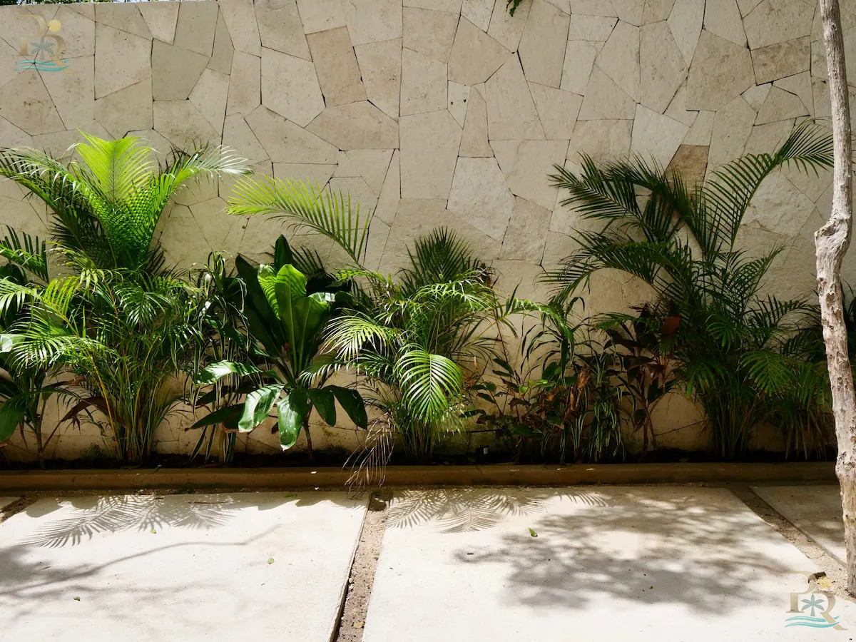 Property gallery Discover the Charm of Living Surrounded by Nature in Tulum