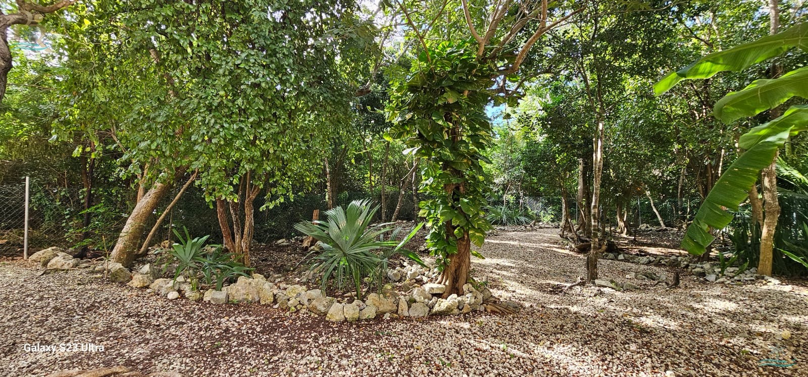 Property gallery 🏠 REAL POTENTIAL: THE OPPORTUNITY THE MARKET IS OVERLOOKING